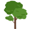 🌳