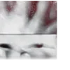 🩸