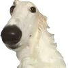 ❕