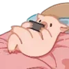 🐷