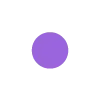 🟣