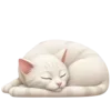 🐈
