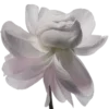 💐