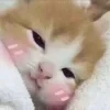 ☺