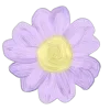 🌸