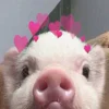 🥰