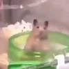😐