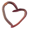 💝