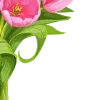🌷