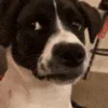 😕