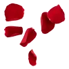🌹