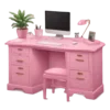 🖥️
