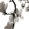 🌸