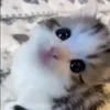 👀