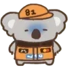 🐨
