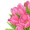 🌷