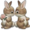 🐰