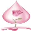 🌷