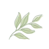 🌿