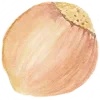 🌰