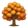 🍁