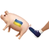 🐷