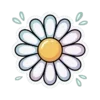 🌼
