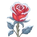 🌹