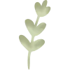 🌿