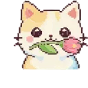 🐱