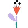 🌸