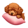 🐶