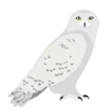 🦉