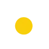 🟡