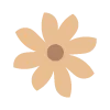 🌼