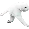 👻