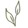 🌱