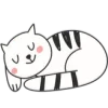😽