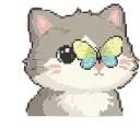 🐱