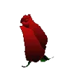 🌹