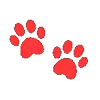 🐾