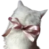 🎀