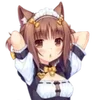 🌟