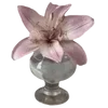 🌷