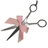 ✂️
