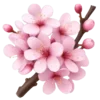 🌸