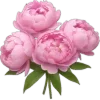 💐