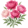 🌺