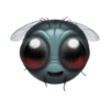 🪰