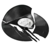 💽
